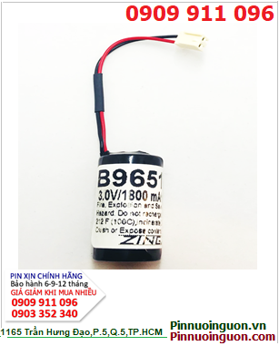 Pin nuôi nguồn Texas Instruments 325 PLC Battery 3V Lithium chính hãng| có sẳn hàng
